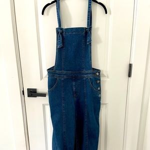 Denim Jumpsuit Overall ModCloth